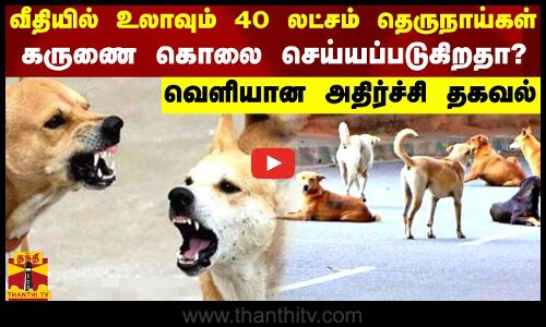 வீதியில் உலாவும் 40 லட்சம் தெருநாய்கள்..கருணை கொலை செய்யப்படுகிறதா? - வெளியான அதிர்ச்சி தகவல்