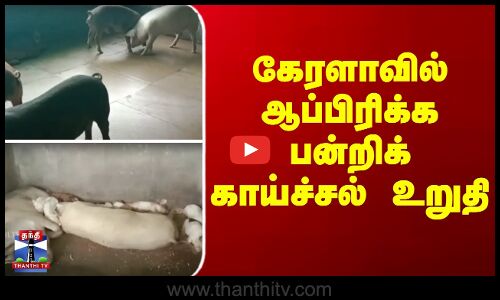 Kerala || African swine fever || கேரளாவில் ஆப்பிரிக்க பன்றிக் காய்ச்சல் உறுதி