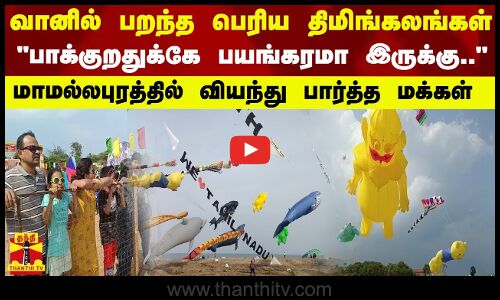 வானில் பறந்த பெரிய திமிங்கலங்கள்... பாக்குறதுக்கே பயங்கரமா இருக்கு.. - வியந்து பார்த்த மக்கள்