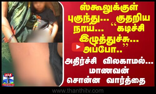 ஸ்கூலுக்குள் புகுந்து... மாணவனை குதறிய நாய்... கரூரில் அதிர்ச்சி