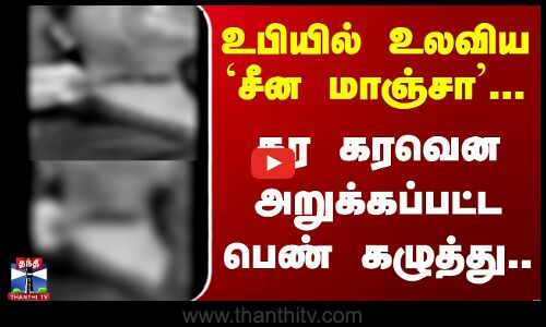 உபியில் உலவிய `சீன மாஞ்சா’...கர கரவென அறுக்கப்பட்ட பெண் கழுத்து..