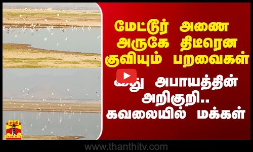 மேட்டூர் நீர்பிடிப்பு பகுதியில் திடீரென குவியும் பறவைகள்.. இது அபாயத்தின் அறிகுறி.. கவலையில் மக்கள்