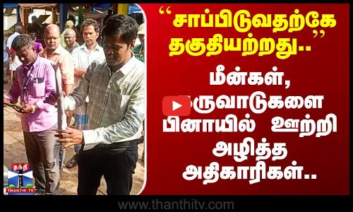 ``சாப்பிடுவதற்கே தகுதியற்றது..’’ மீன்களை பினாயில் ஊற்றி அழித்த அதிகாரிகள்