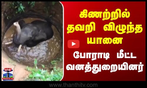 கிணற்றில் தவறி விழுந்த யானை - போராடி மீட்ட வனத்துறையினர்