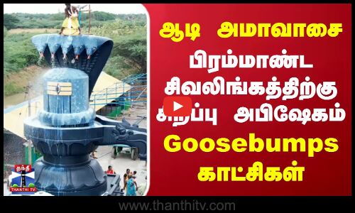 ஆடி அமாவாசை- பிரம்மாண்ட சிவலிங்கத்திற்கு சிறப்பு அபிஷேகம்