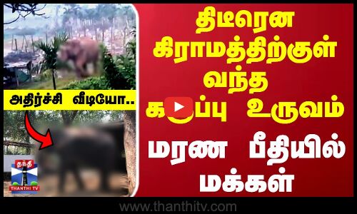 Gudalur | Village People | திடீரென கிராமத்திற்குள் வந்த  கருப்பு உருவம்... மரண பீதியில் மக்கள்