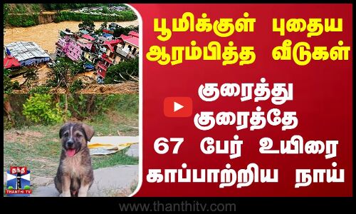 பூமிக்குள் புதைய ஆரம்பித்த வீடுகள் - குரைத்து குரைத்தே 67 பேர் உயிரை காப்பாற்றிய நாய்