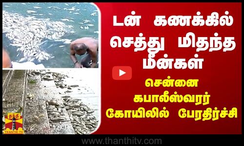 டன் கணக்கில் செத்து மிதந்த மீன்கள் - சென்னை கபாலீஸ்வரர் கோயிலில் அதிர்ச்சி
