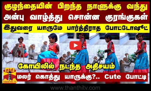 குழந்தையின் பிறந்த நாளுக்கு வந்து அன்பு வாழ்த்து சொன்ன குரங்குகள் - யாருமே பார்த்திராத போட்டோஷூட்