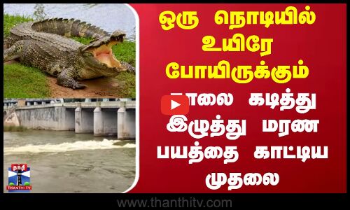 Crocodile | ஒரு நொடியில் உயிரே போயிருக்கும் - காலை கடித்து இழுத்து மரண பயத்தை காட்டிய முதலை