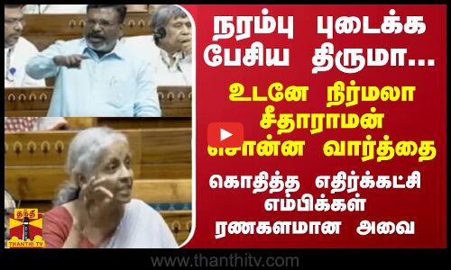நரம்பு புடைக்க பேசிய திருமா... உடனே நிர்மலா சீதாராமன் சொன்ன வார்த்தை... ரணகளமான அவை