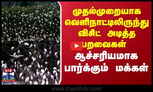 Foreign birds | முதல்முறையாக வெளிநாட்டிலிருந்து விசிட் அடித்த பறவைகள்.. ஆச்சரியமாக பார்க்கும் மக்கள்