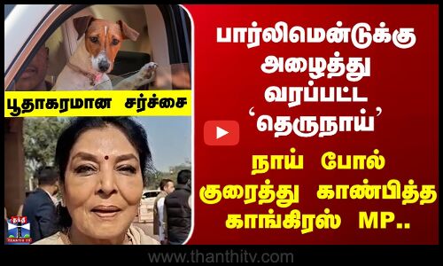 Parliament Dog Controversy | பார்லிமென்டுக்கு அழைத்து வரப்பட்ட `தெருநாய்’