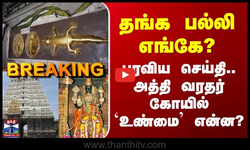 Kanchipuram Temple | தங்க பல்லி எங்கே? பரவிய செய்தி.. அத்தி வரதர் கோயில் `உண்மை’ என்ன?