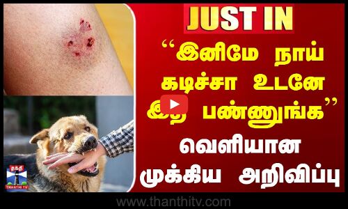 ``இனிமே நாய் கடிச்சா உடனே இத பண்ணுங்க.. வெளியான முக்கிய அறிவிப்பு