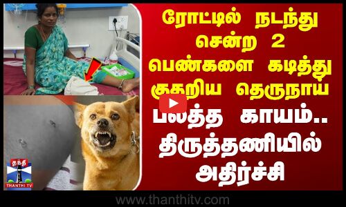 ரோட்டில் நடந்து சென்ற 2 பெண்களை கடித்து குதறிய தெருநாய் - பலத்த காயம்