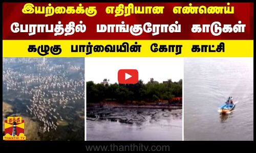 இயற்கைக்கு எதிரியான எண்ணெய்.. பேராபத்தில் மாங்குரோவ் காடுகள் -கழுகு பார்வையின் கோர காட்சி