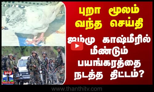 புறா மூலம் வந்த செய்தி - ஜம்மு காஷ்மீரில் மீண்டும் பயங்கரத்தை நடத்த திட்டம்?