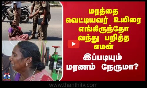மரத்தை வெட்டியவர் உயிரை எங்கிருந்தோ வந்து பறித்த எமன்