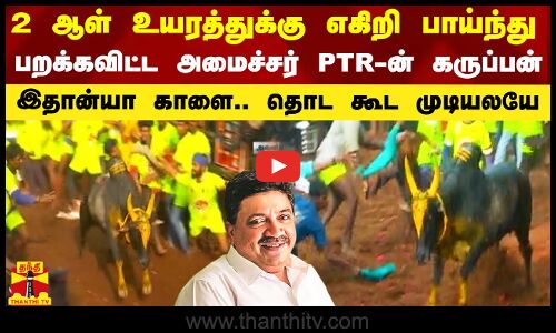 2 ஆள் உயரத்துக்கு எகிறி பாய்ந்து பறக்கவிட்ட அமைச்சர் PTR-ன் கருப்பன்.. இதான்யா காளை.. தொட முடியலயே