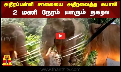 அதிரப்பள்ளி சாலையை அதிரவைத்த கபாலி... 2 மணி நேரம் யாரும் நகரல.