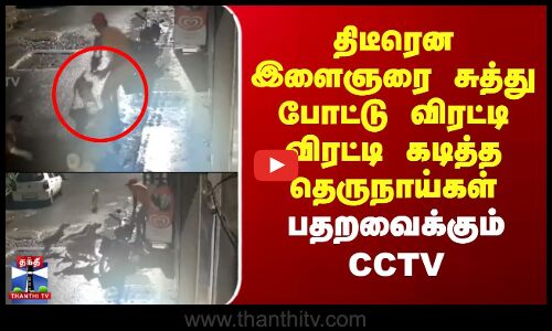 திடீரென இளைஞரை சுத்து போட்டு விரட்டி விரட்டி கடித்த தெருநாய்கள் -பதறவைக்கும் CCTV