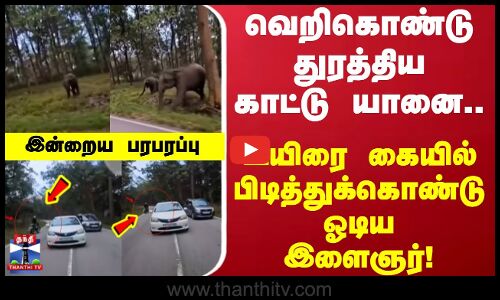 பைக்கில் சென்ற நபரை துரத்திய காட்டு யானை