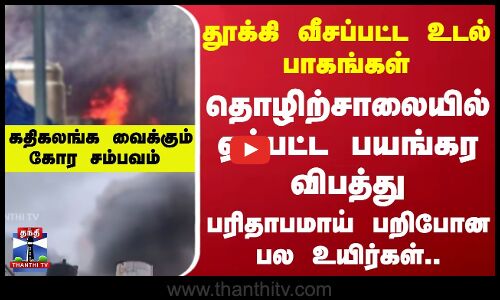 தொழிற்சாலையில் ஏற்பட்ட பயங்கர விபத்து - தூக்கி வீசப்பட்ட உடல் பாகங்கள்