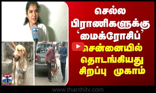 Chennai செல்லப்பிராணிகளுக்கு மைக்ரோசிப் - சென்னையில் தொடங்கியது சிறப்பு முகாம்