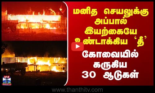 Kovai | மனித செயலுக்கு அப்பால் இயற்கையே உண்டாக்கிய `தீ’ - கோவையில் கருகிய 30 ஆடுகள்