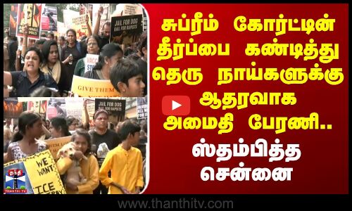சுப்ரீம் கோர்ட்டின் தீர்ப்பை கண்டித்து தெரு நாய்களுக்கு ஆதரவாக அமைதிப் பேரணி..