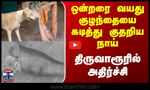 ஒன்றரை வயது குழந்தையை கடித்து குதறிய நாய் திருவாரூரில் அதிர்ச்சி