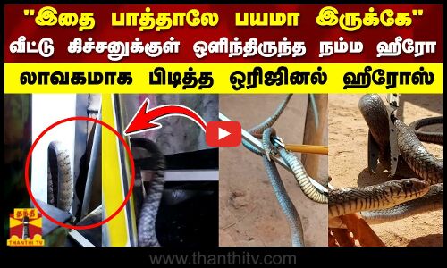 இதை பாத்தாலே பயமா இருக்கே..வீட்டு கிச்சனுக்குள் ஒளிந்திருந்த நம்ம ஹீரோ..Snake | Tamilnadu
