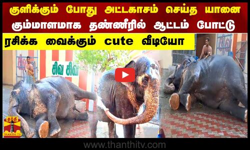 குளிக்கும் போது அட்டகாசம் செய்த யானை  கும்மாளமாக தண்ணீரில் ஆட்டம் போட்டு   ரசிக்க வைக்கும் cute வீடியோ