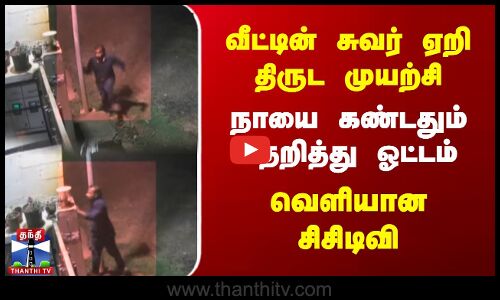 வீட்டின் சுவர் ஏறி திருட முயற்சி.. நாயை கண்டதும் தெறித்து ஓட்டம் - வெளியான சிசிடிவி