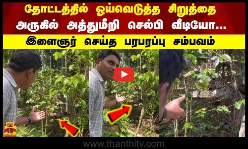 தோட்டத்தில் ஓய்வெடுத்த சிறுத்தை அருகில் அத்துமீறி செல்பி வீடியோ...