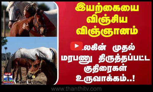 இயற்கையை விஞ்சிய விஞ்ஞானம்... உலகின் முதல் மரபணு திருத்தப்பட்ட குதிரைகள் உருவாக்கம்..!