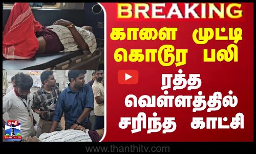 காளை முட்டி கொடூர பலி  - ரத்த வெள்ளத்தில் சரிந்த காட்சி