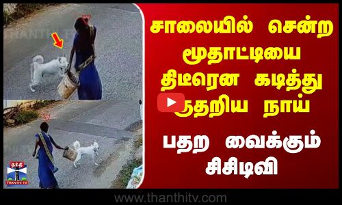 Dog Attack | சாலையில் சென்ற மூதாட்டியை திடீரென கடித்து குதறிய நாய் பதற வைக்கும் சிசிடிவி