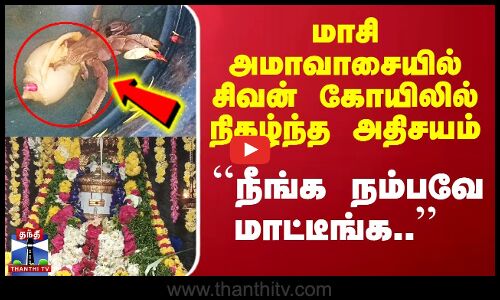 ``நீங்க நம்பவே மாட்டீங்க..’’ - மாசி அமாவாசையில் சிவன் கோயிலில் நிகழ்ந்த அதிசயம்  | Sivan | Amavasai