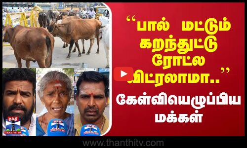 ``பால் மட்டும் கறந்துட்டு ரோட்ல விட்ரலாமா..  | கேள்வியெழுப்பிய மக்கள்