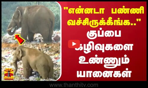 என்னடா பண்ணி வச்சிருக்கீங்க..குப்பை கழிவுகளை உண்ணும் யானைகள்
