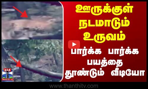 ஊருக்குள் நடமாடும் உருவம்.. பார்க்க பார்க்க பயத்தை தூண்டும் வீடியோ