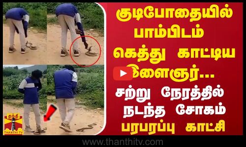 குடிபோதையில் பாம்பிடம் கெத்து காட்டிய இளைஞர்... சற்று நேரத்தில் நடந்த சோகம் - பரபரப்பு காட்சி