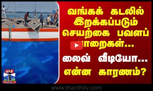 வங்கக் கடலில் இறக்கப்படும் செயற்கை பவளப் பாறைகள்...லைவ் வீடியோ... என்ன காரணம்?