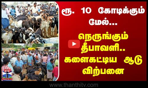 Diwali 2025 | Goat Sale | ரூ. 10 கோடிக்கும் மேல்... நெருங்கும் தீபாவளி.. களைகட்டிய ஆடு விற்பனை