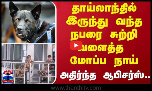 தாய்லாந்தில் இருந்து வந்த நபரை சுற்றி வளைத்த மோப்ப நாய்.. -  அதிர்ந்த ஆபிசர்ஸ்..