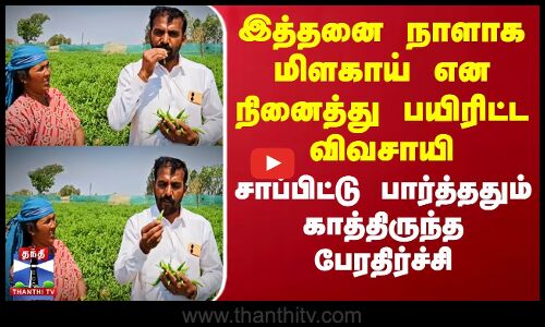 Farming Business | Chilli Pepper | இத்தனை நாளாக மிளகாய் என நினைத்து பயிரிட்ட விவசாயிக்கு பேரதிர்ச்சி