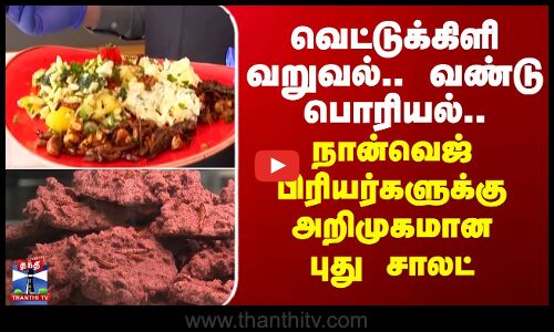 Germany Salad | வெட்டுக்கிளி வறுவல்.. வண்டு பொரியல்.. நான்வெஜ் பிரியர்களுக்கு அறிமுகமான புது சாலட்