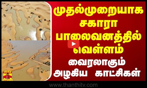 முதல்முறையாக சகாரா பாலைவனத்தில் வெள்ளம் - வைரலாகும் அழகிய காட்சிகள்